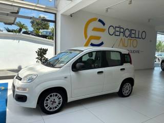 FIAT Panda usata, con Antifurto