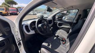 FIAT Panda usata, con Controllo trazione