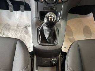 FORD Fiesta usata, con Vetri oscurati