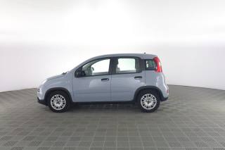 FIAT Panda usata 6