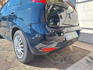 FIAT Punto usata, con Fendinebbia