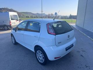 FIAT Punto usata, con Climatizzatore
