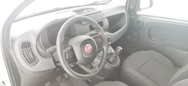 FIAT Panda usata 53