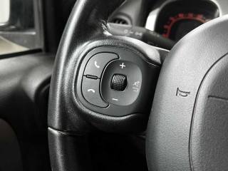 FIAT Panda Cross usata 19