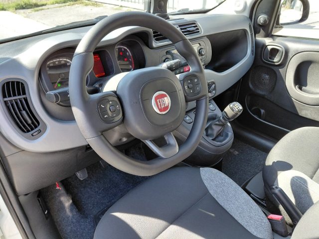 FIAT Panda usata, con Bracciolo