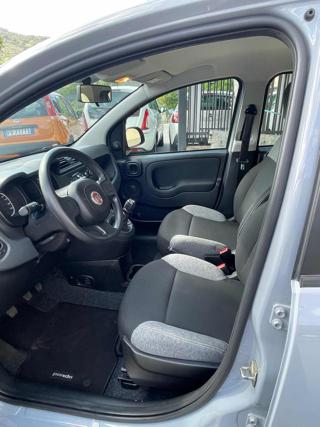 FIAT Panda usata 13