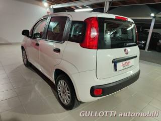 FIAT Panda usata, con Alzacristalli elettrici
