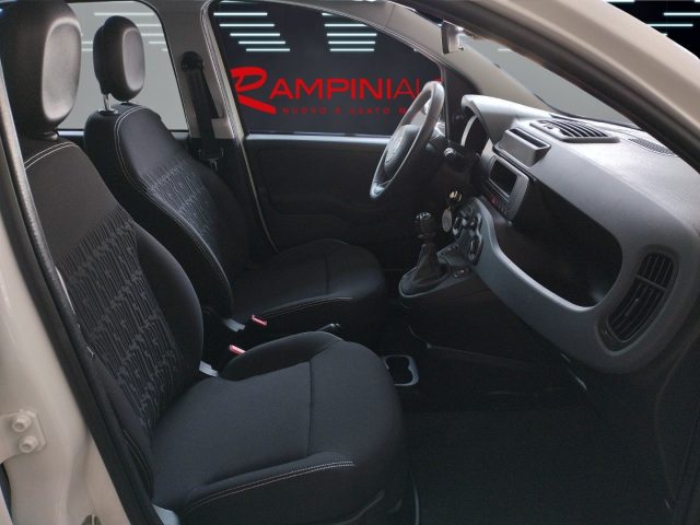 FIAT Panda usata 12