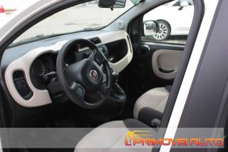 FIAT New Panda usata 19