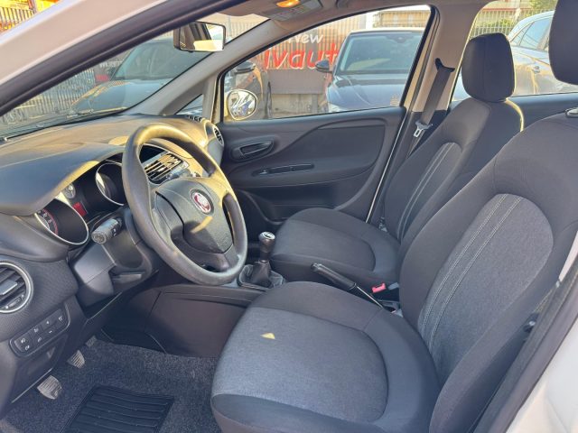 FIAT Punto usata, con Fendinebbia