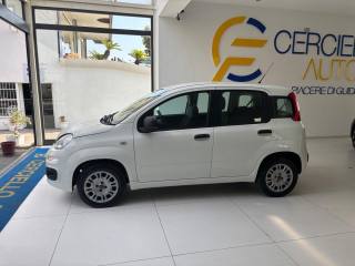 FIAT Panda usata, con Antifurto