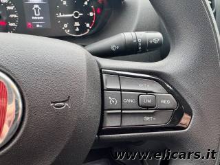 FIAT Ducato usata, con Specchietti laterali elettrici