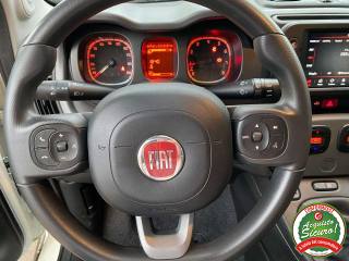 FIAT Panda usata, con Controllo automatico clima