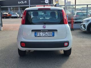 FIAT Panda usata 16