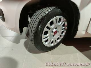 FIAT Panda usata 17