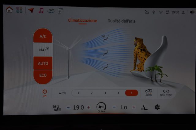SMART Smart usata, con Isofix