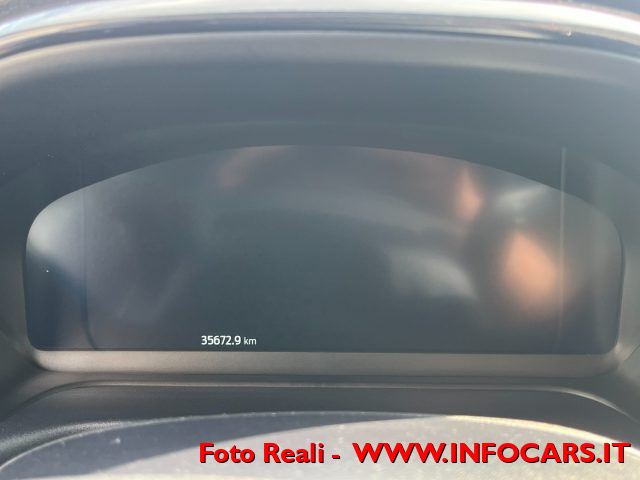 FORD Puma usata, con Fendinebbia