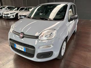 FIAT Panda usata, con Controllo trazione