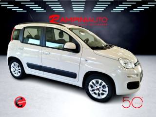 FIAT Panda usata 5