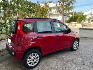 FIAT Panda usata 4