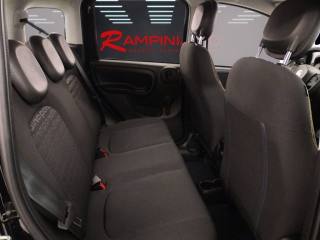 FIAT Panda usata 13