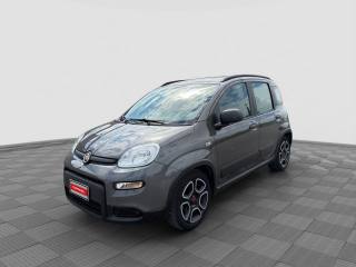 FIAT Panda Panda 1.0 firefly hybrid city life