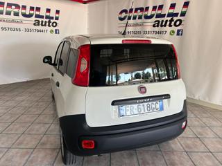 FIAT Panda usata, con Airbag Passeggero