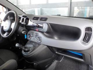 FIAT Panda usata 17