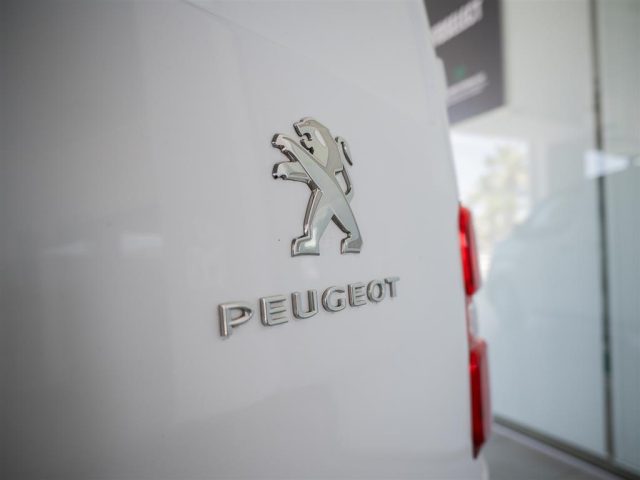 PEUGEOT Expert usata 7