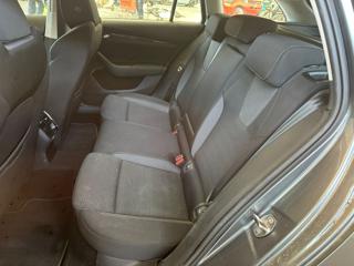 SKODA Octavia usata, con Fendinebbia