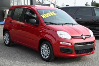 FIAT Panda usata, con Airbag Passeggero