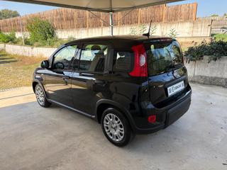 FIAT Panda usata, con Airbag Passeggero
