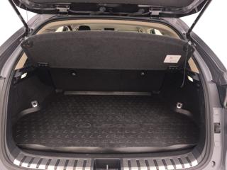 LEXUS NX 300h usata, con Bracciolo