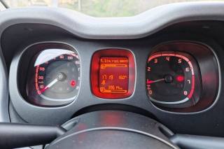 FIAT Panda Cross usata, con Controllo trazione