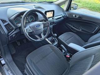 FORD EcoSport usata, con Fendinebbia
