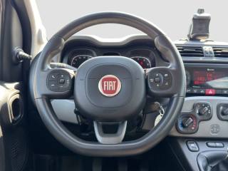 FIAT Panda usata 12