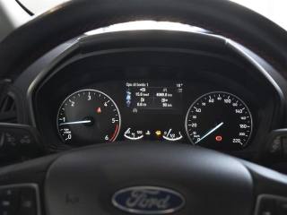 FORD EcoSport usata, con Volante multifunzione