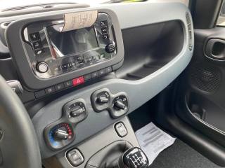 FIAT Panda usata, con Cruise Control
