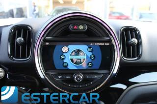 MINI Countryman usata, con Fendinebbia