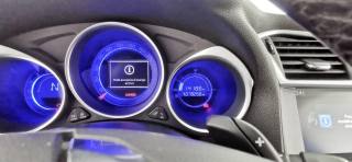 DS AUTOMOBILES DS 4 usata 60