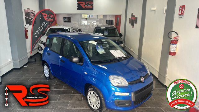 FIAT Panda usata, con Hill holder