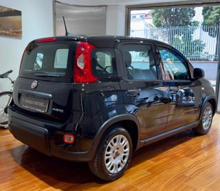 FIAT Panda usata, con Alzacristalli elettrici
