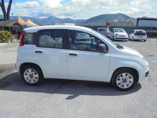 FIAT Panda usata 13