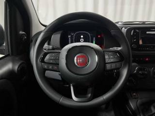 FIAT Panda usata, con Airbag testa