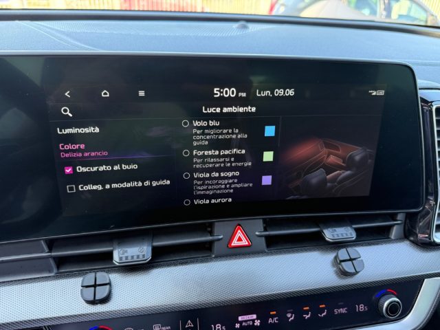 KIA Sportage usata, con Frenata d