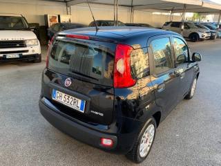 FIAT Panda usata, con Chiusura centralizzata