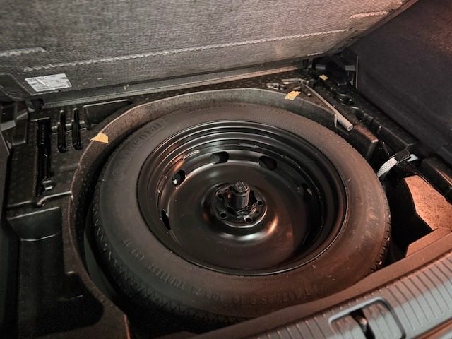 VOLKSWAGEN Tiguan usata, con Frenata d