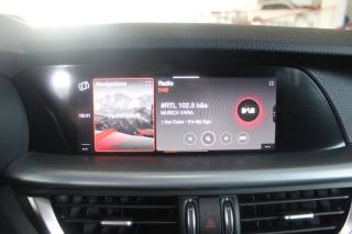 ALFA ROMEO Stelvio usata, con ESP