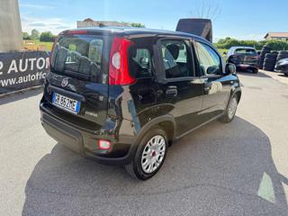FIAT Panda usata, con ESP
