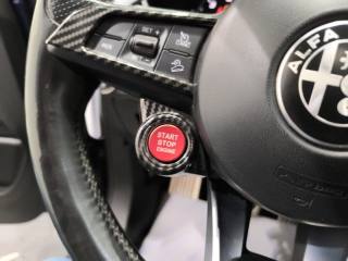 ALFA ROMEO Stelvio usata, con Interni in pelle